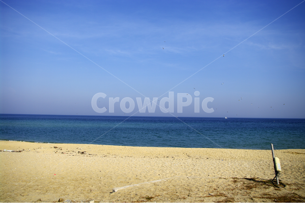 바다,동해,강릉,하늘,수평선,파란,컬러,모래사장,자연,풍경,nature,landscape,해변,바다,beach,sea,shoreline,해안선,water,물,ocean,대양,outdoors,옥외