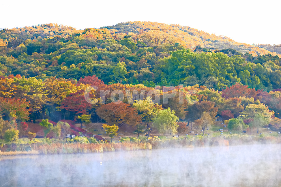 물안개,안개,가을,단풍,풍경,자연,호수,산,가을,계절,fall,autumn,season,자연,풍경,nature,landscape,한국자연풍경,한국자연경관,korea nature landscape,outdoors,옥외