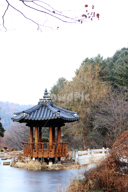 겨울산,정자,숲속정자,숲,정자다리,숲속