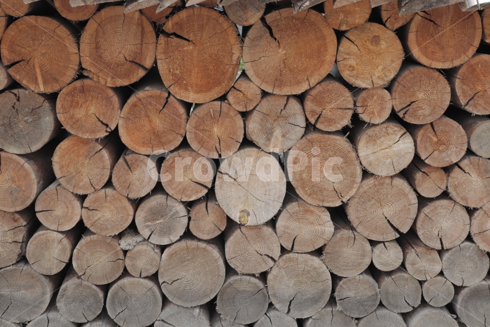나무,목재,패턴,나이테,반복,갈라짐,담장,나무담장,나무,trees,wood
