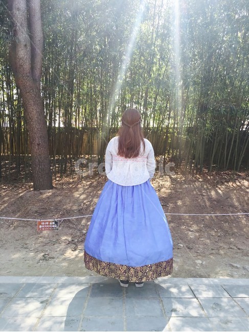 인물,여자,뒷모습,전주,한옥마을,한복,사람,인물,인간,human,person,여성,여자,woman,female,lady