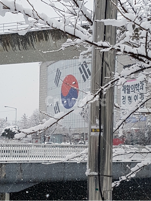 폭설,눈,거리,도로,건물