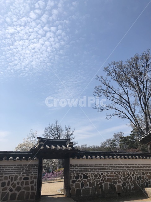 한옥,하늘,구름,봄,정릉,풍경,전통,문화유산,화성,예쁜하늘,담,기와,한국전통,한국문화,korean traditional,korean culture,건축물,건물외관,exterior,building,structure,architecture,construction
