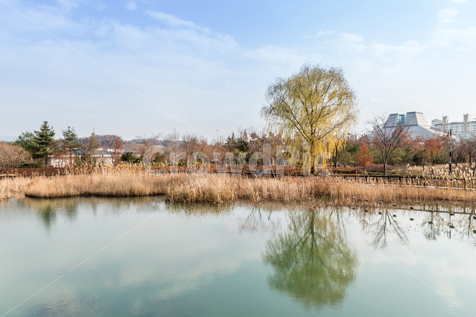 공원,산책,휴식,풍경,산책로