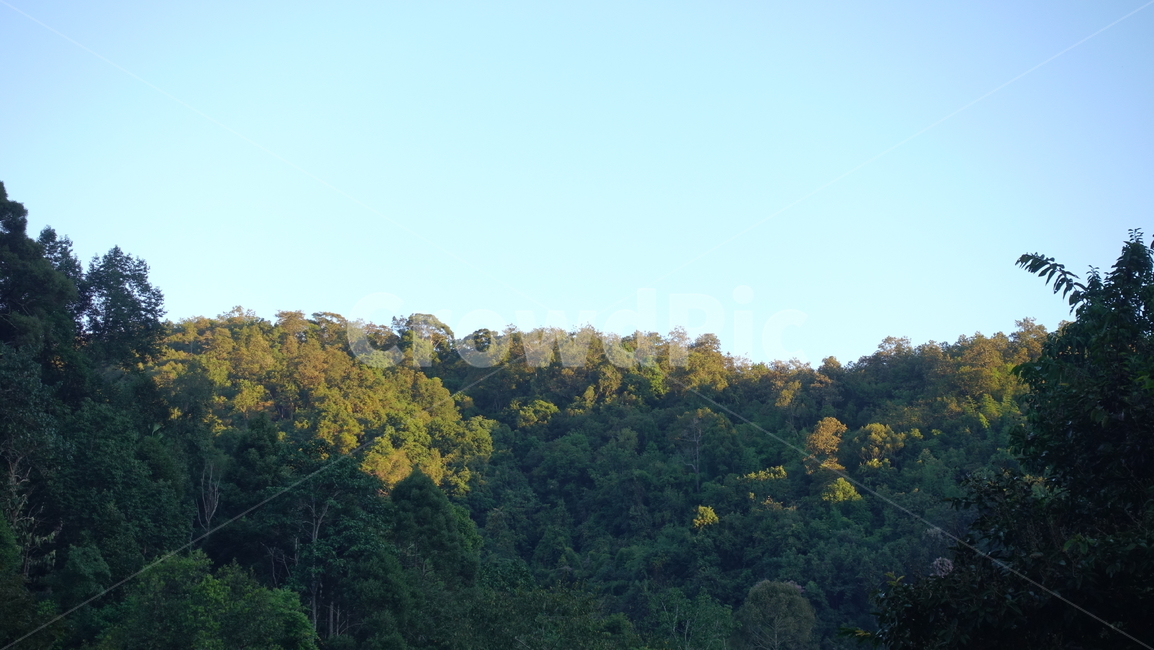 outdoor,야외,nature,자연,outdoors,옥외,plant,식물,mountain,산,산맥