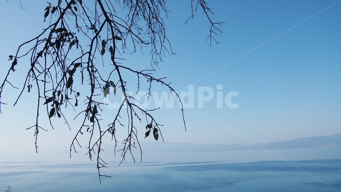 하늘,나무,실루엣,배경,그림자,자연,scenery,landscape,경치,branch,cold,나뭇가지,cool,beautiful,object,winter,sky,silhouette,green,refreshing,crystal,dreamlike,mysterious,forest,blue,background,tree,plant,식물,겨울,nature,풍경,outdoors,frost,자연,풍경,nature,landscape