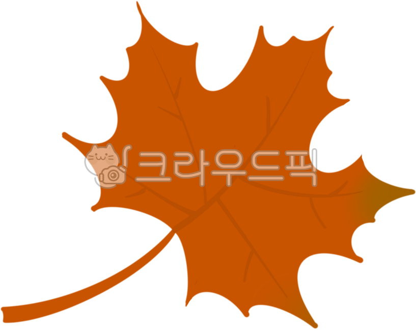 tree branch,tree,maple tree,autumn tree,autumn,maple,maple leaf,fall,leaf,leaves,fallen leaves,sycamore,sycamore leaf