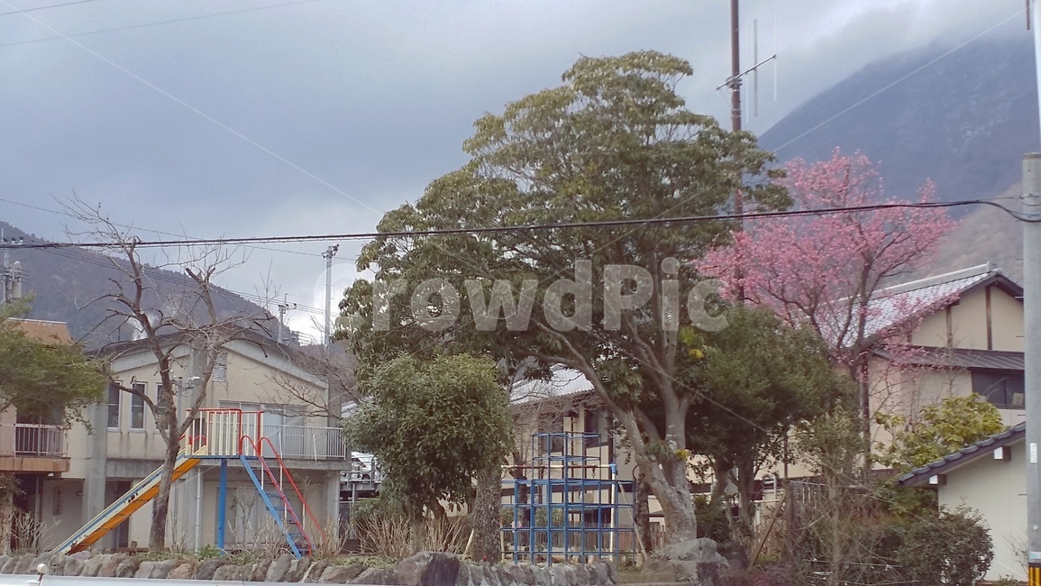 일본,유후인,마을,놀이터,나무,봄,japan