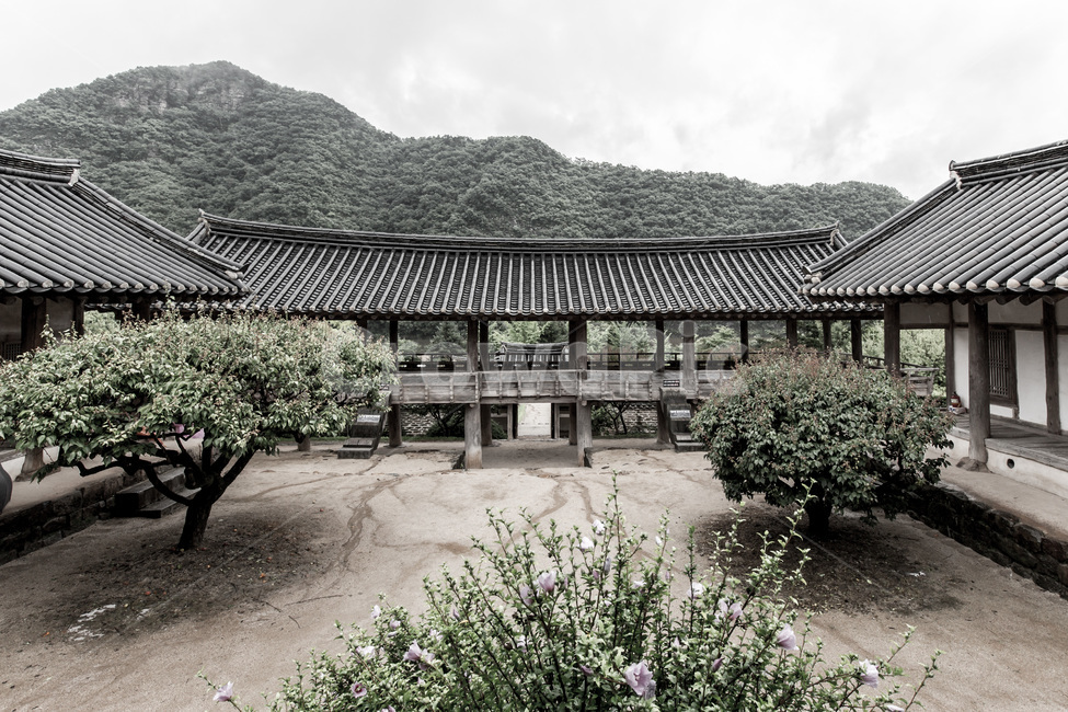 서원,고택,전통기와,정원,문화유산,관광명소,한국전통,한국문화,korean traditional,korean culture,건축물,건물외관,exterior,building,structure,architecture,construction