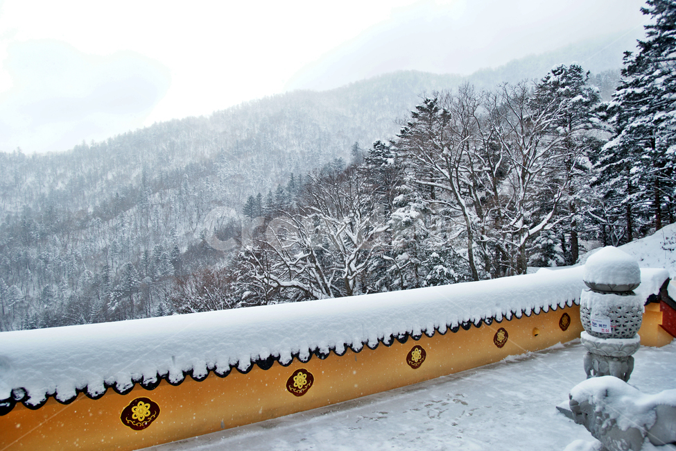 눈,담장,사자암,사찰,오대산,겨울,쌓인눈,겨울,계절,winter,season,자연,풍경,nature,landscape,한국자연풍경,한국자연경관,korea nature landscape,한국전통,한국문화,korean traditional,korean culture,outdoors,옥외,snow,blizzard,눈보라,storm,폭풍