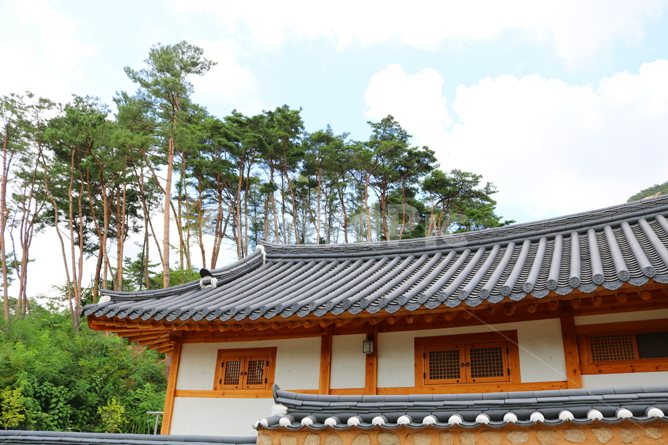 기와집,기와,진관사,절,나무,옛날집,한국전통,한국문화,korean traditional,korean culture,건축물,건물외관,exterior,building,structure,architecture,construction