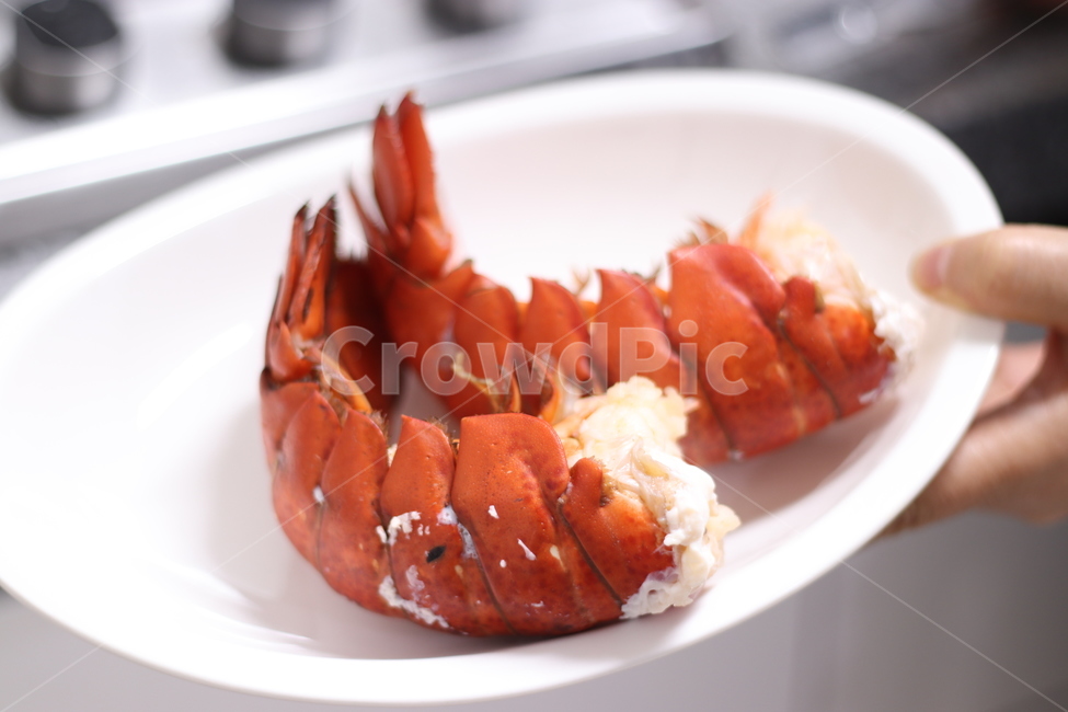랍스타,해산물,랍스터,lobster,바닷가재