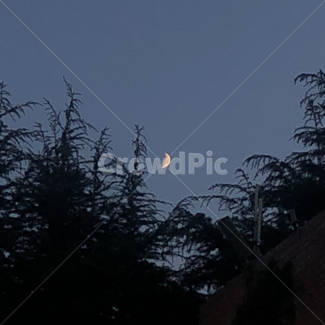 달,하늘,저녁,저녁하늘,감성,야경,밤,풍경,nightscape,night,landscape,nature,자연,outdoors,옥외