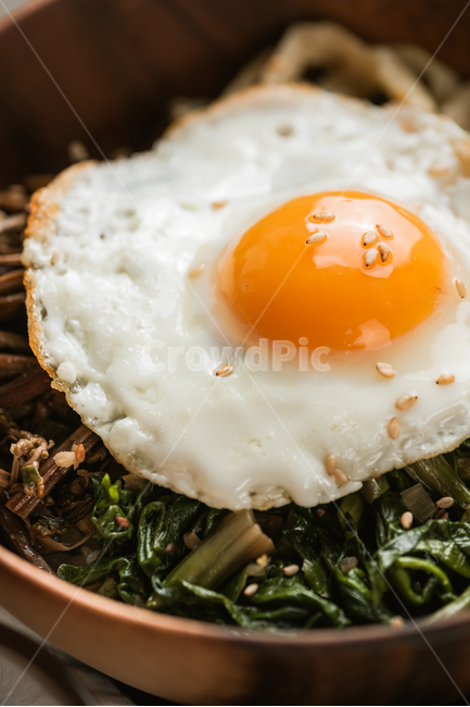 비빔밥,한국전통음식,계란후라이,계란프라이,도라지,고사리,시금치,건강한,웰빙푸드,한식,음식,식재료,요리,food,cook,meal,dishes,food reserves,한식,한국음식,한국요리,korean food,korean dishes,korean meal,korean cook