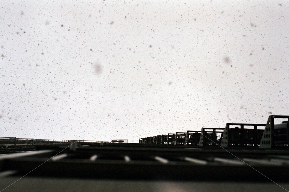 눈,아파트,겨울,함박눈,베란다,하늘,필름,겨울,계절,winter,season,건축물,건물외관,exterior,building,structure,architecture,construction,감성,sensible,feeling,흑백,모노톤,monochrome,black and white