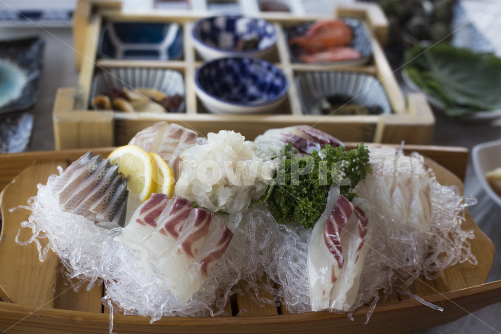 회,생선,생선회,활어,횟집,전어회,흰살,모둠회,음식,식재료,요리,food,cook,meal,dishes,food reserves,수산물,해산물,fishery products,seafood