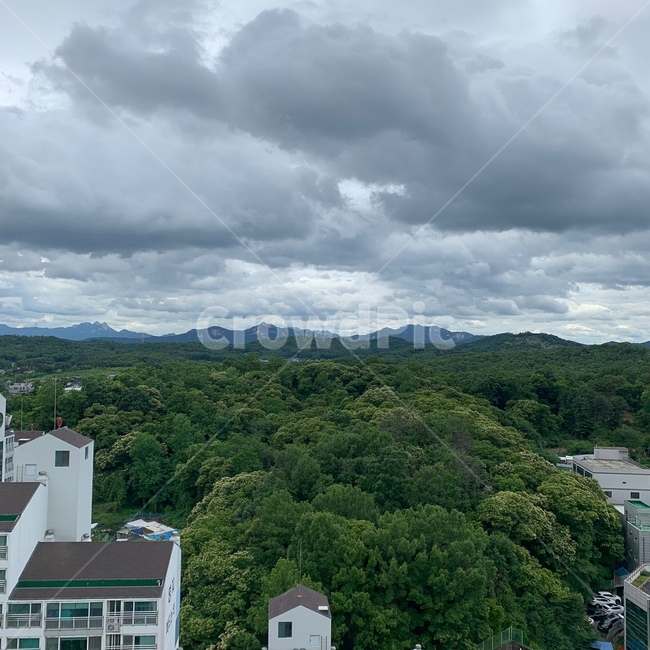 하늘,나무,구름,파랑,파란색,풍경,감성,자연,계절,nature,식물,감성사진,맑은하늘,아파트