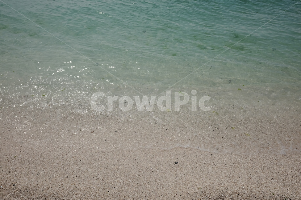 제주도,자연풍경,바다,우도,물,해변,바다,beach,sea