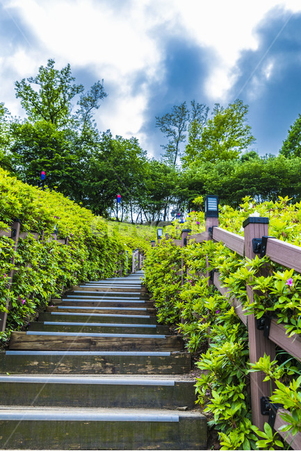 절쭉동산,공원,풍경,하늘,구름,힐링,계단,자연,풍경,nature,landscape,outdoors,옥외,arbour,정자,garden,정원
