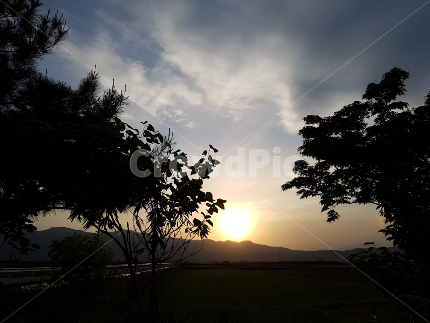 photography,한국,합천,노을,역광,하늘,풍경,사진,시골,감성,fall,monotone,landscape,자연풍경,스냅,snap,sunset,자연,자연사진,자연,풍경,nature,landscape,outdoors,옥외,sky,dusk,황혼,dawn,새벽,red sky,붉은 하늘,일몰