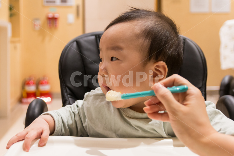 아기,이유식,육아,남자아이,맘마,어린이,아이,밥,식사,남자,영양,아기이유식,귀여운,사랑스런,숟가락,아동,양육,통통한,천사같은,꼬마,영유아,유아,사람,인물,남자아기,1살,1살아기,성장,가족,수유실,육아휴게실,얼굴,표정,11개월,발달,사람,인물,인간,human,person,영유아,아기,애기,아이,infants,baby