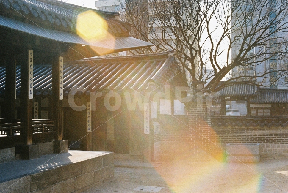 한옥,빛,감성,겨울,풍경,전통,전통건축,필카,필름카메라,나무,운현궁,한국전통,한국문화,korean traditional,korean culture,감성,sensible,feeling