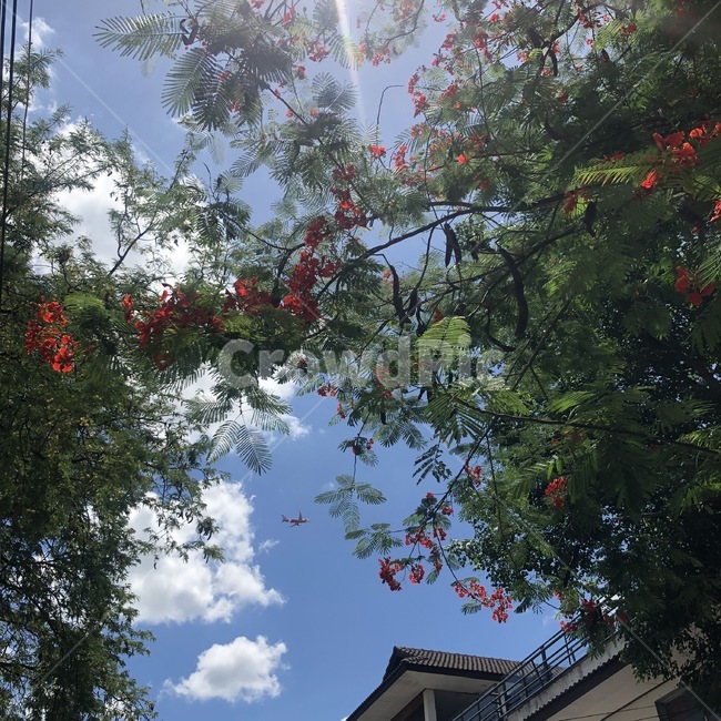 치앙마이,거리풍경,태국,tai,chiangmai,taiview
