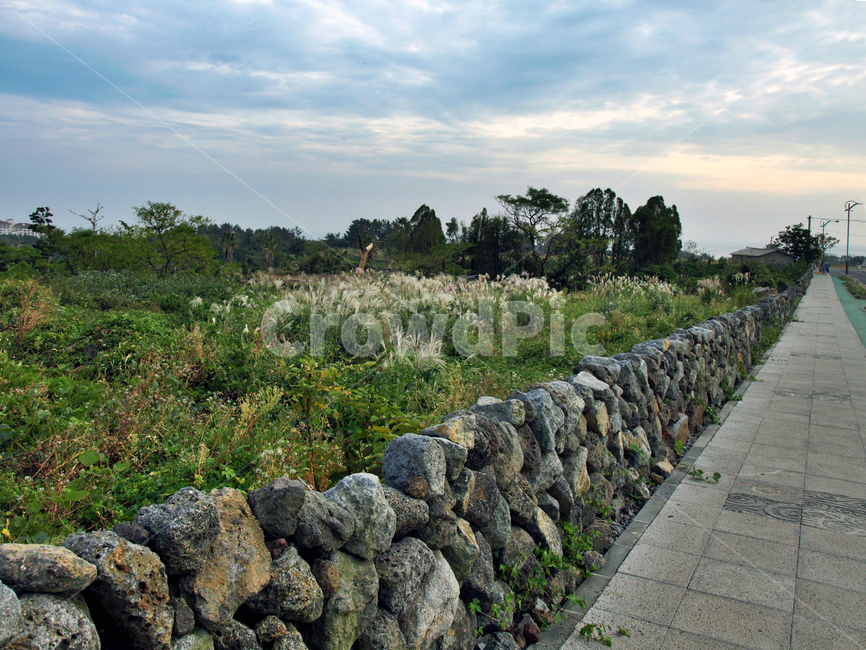예래동입구,돌담,올레8코스,올레길,제주,서귀포시,도로,자연,풍경,nature,landscape,제주도,jeju,jeju island,wall,벽,slate,슬레이트,stone wall,path,통로,walkway,보도