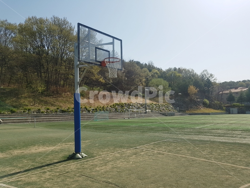 농구장,농구대,잔디,인조장디,운동장