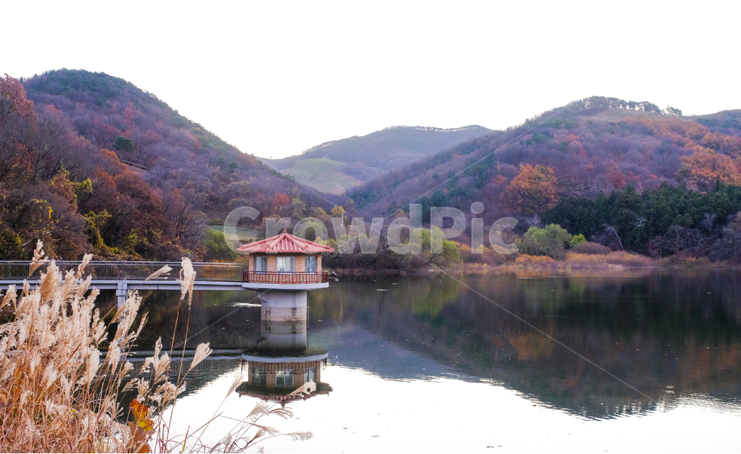 용비지,반영,아침,산,단풍,가을,계절,fall,autumn,season,자연,풍경,nature,landscape,한국자연풍경,한국자연경관,korea nature landscape,outdoors,옥외,water,물