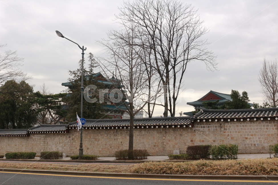 나무,구름,하늘,산책길,tree,한국전통,한국문화,korean traditional,korean culture,건축물,건물외관,exterior,building,structure,architecture,construction
