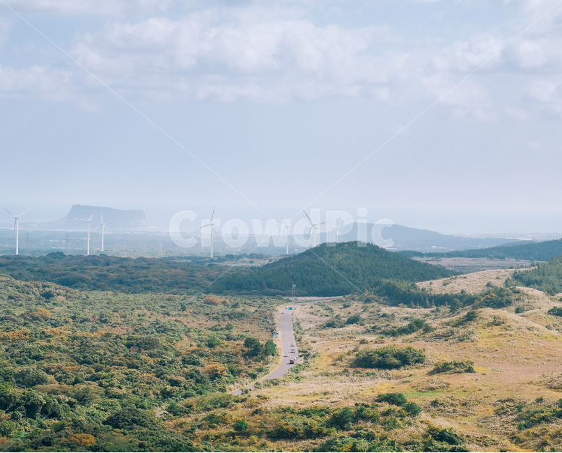 nature,자연,outdoors,옥외,제주도,필름사진,감성사진,풍경,여름,자연,풍경,nature,landscape