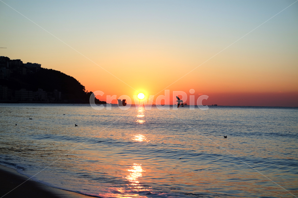 일출,부산,해운대,바다,일몰,새해,자연,풍경,nature,landscape,outdoors,옥외,sunlight,햇빛,dusk,황혼,sunset,dawn,새벽,sky,하늘,red sky,붉은 하늘
