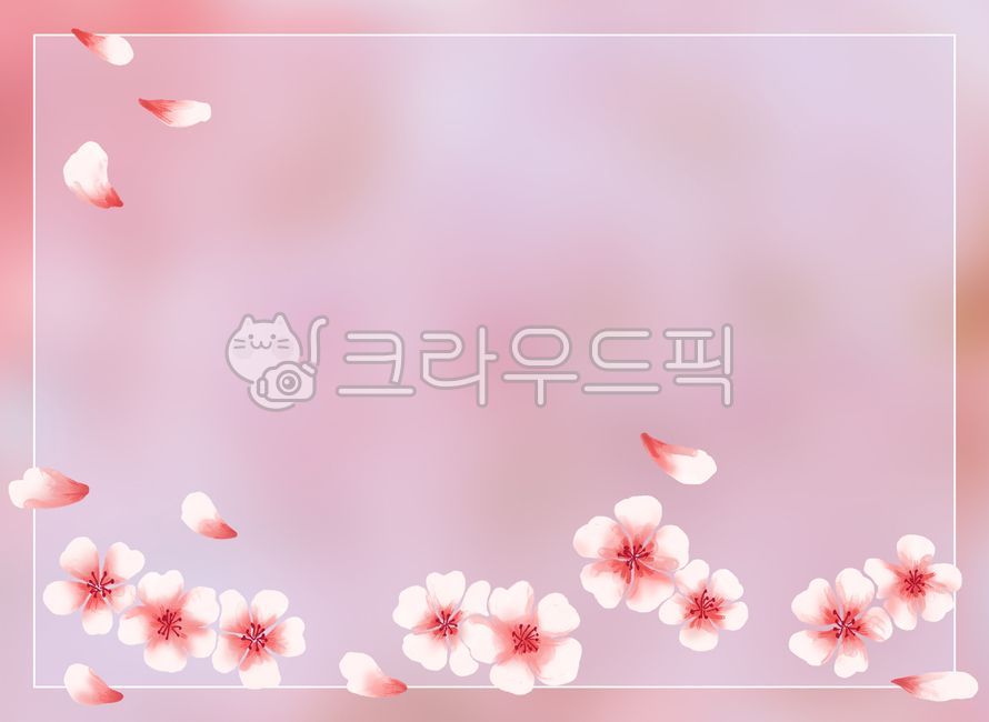 벚꽃,봄,벚꽃배경,봄배경,일러스트,꽃,꽃배너,분홍색,꽃잎,봄테마,사쿠라