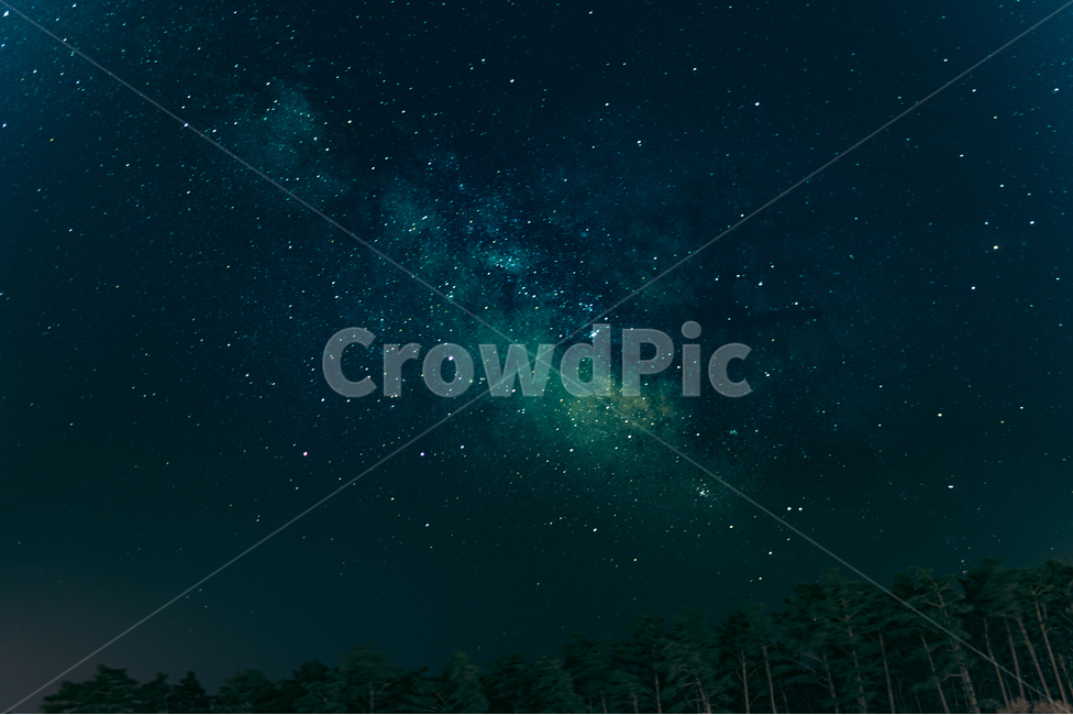 은하수,숲,하늘,별,나무,cyan,청록,파랑,푸르스름,stars,자연,풍경,nature,landscape,야경,밤,nightscape,night,색깔,색상,색채,색감,color sense,color sensitivity,feeling of color,outdoors,옥외