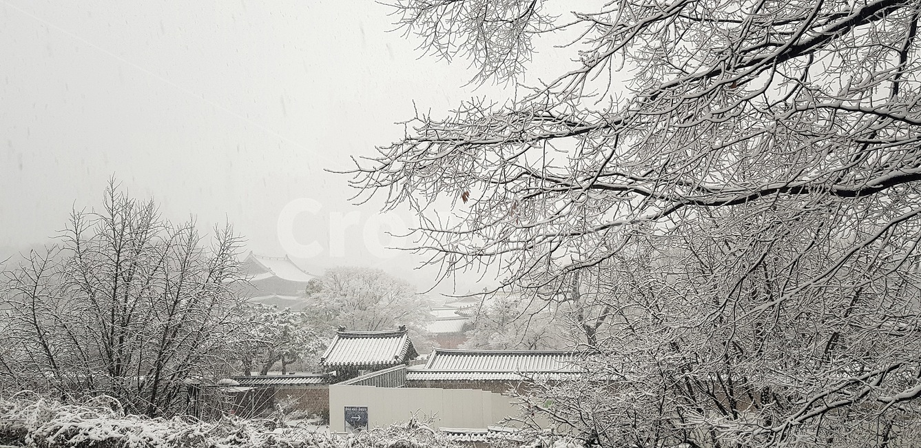 첫눈,창덕궁,고궁설경,돈화문,firstsnow,changdeokgung,겨울,계절,winter,season,자연,풍경,nature,landscape,outdoors,옥외