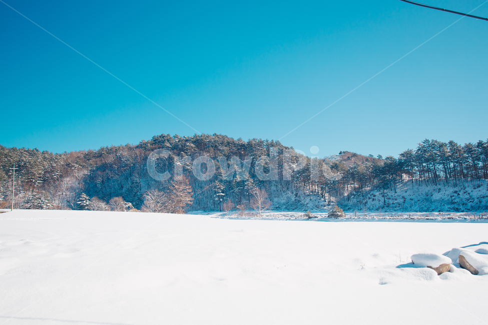 겨울,눈,풍경,들판,하늘,winter,snow,landscape,눈밭,겨울,계절,winter,season,자연,풍경,nature,landscape