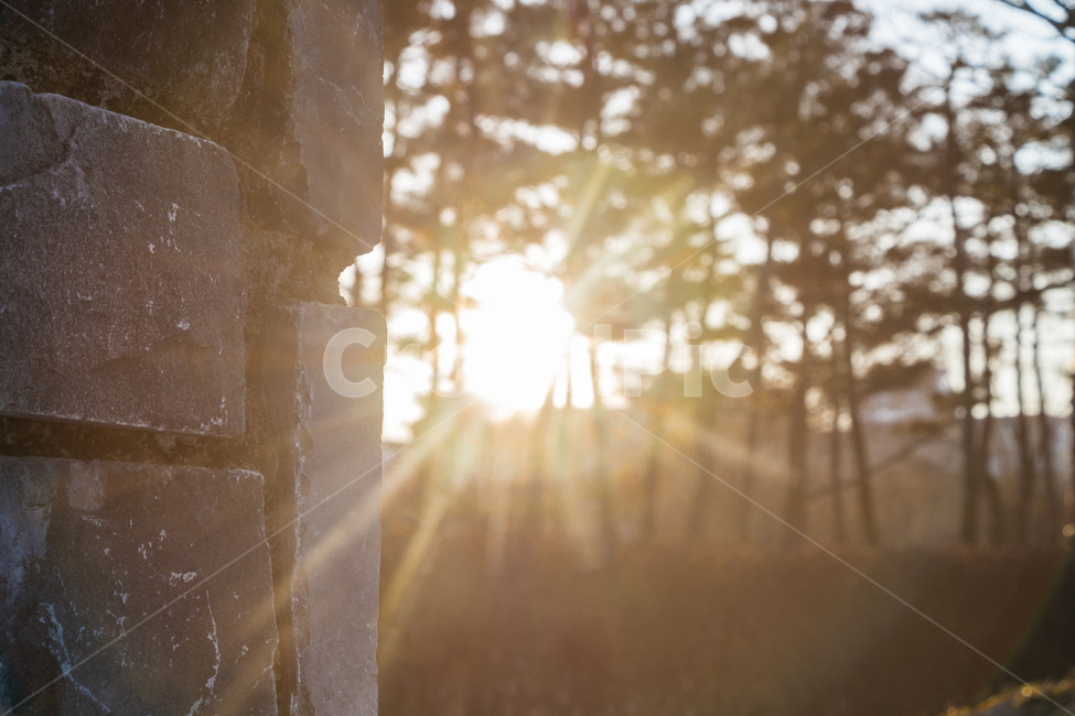 나무,벽,돌,포근함,태양,노을,하늘,자연,풍경,nature,landscape,light,빛,flare,플레어,sunlight,햇빛