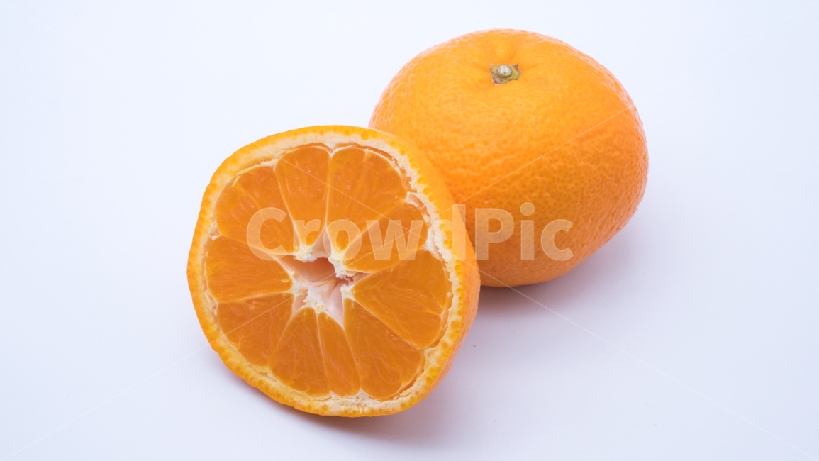 food,음식,citrusfruit,감귤류과일,fruit,orange,주황색,plant,식물,귤,오렌지,과일,겨울,열매,과일,열매,fruit