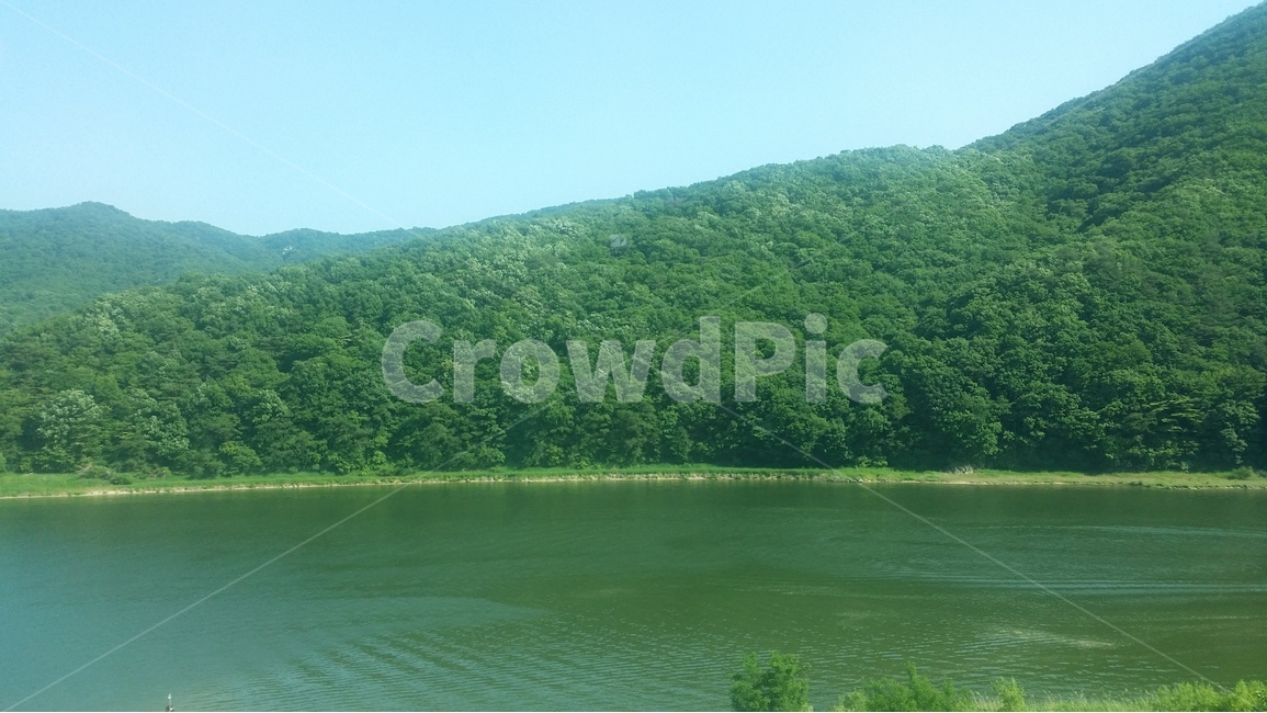 강물,숲,나무,조용함,힐링,자연,풍경,nature,landscape,water,물,outdoors,옥외