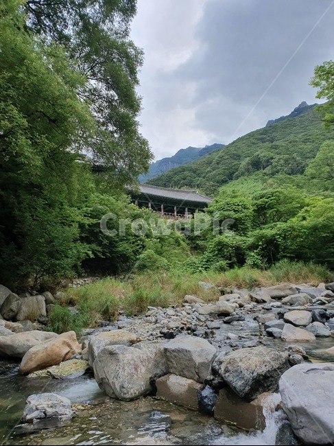사찰,계곡,산,밀양,여름