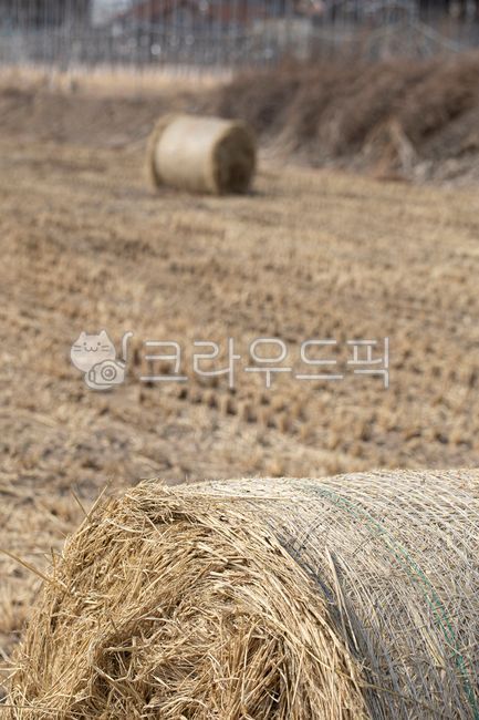 논, 곤포사일리지, 볏짚, 수확, 농사, 사진,이미지,일러스트,캘리그라피 - natsu u작가