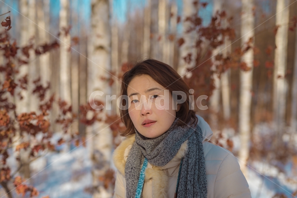 강원도,자작나무숲,단풍,눈,겨울,원대리,겨울여행,모델,인물사진,겨울,계절,winter,season,사람,인물,인간,human,person,얼굴표정,facial expression,face,여성,여자,woman,female,lady