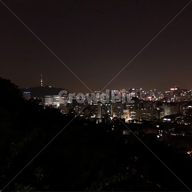 낙산공원,남산,야경,서울,데이트,도시,저녁,밤,산책,힐링,야경,밤,풍경,nightscape,night,landscape,경치,outdoors,옥외,nature,자연,scenery,aerial view,조감도