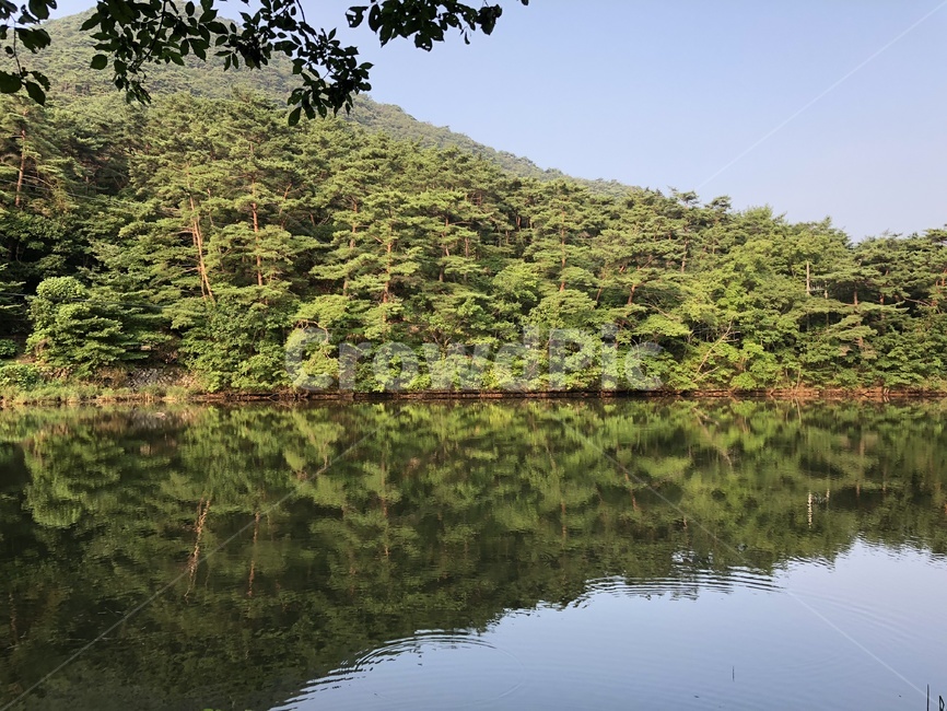 호수,소나무,숲,속리산,사색,자연,풍경,nature,landscape,water,물,outdoors,옥외,pond,못