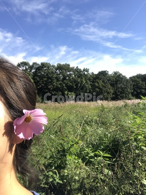파란하늘,가을,코스모스,여인,가을빛,식물,자연,plants,nature,꽃,flower,사람,인물,인간,human,person,여성,여자,woman,female,lady