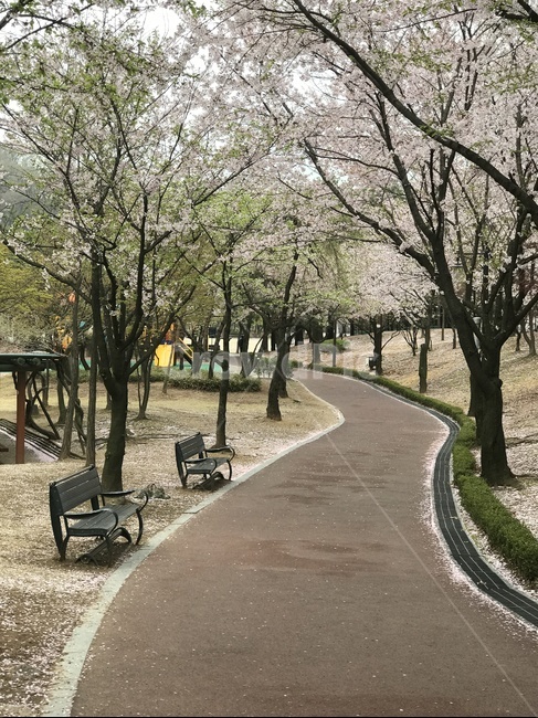 공원,산책,휴식,명상,인생