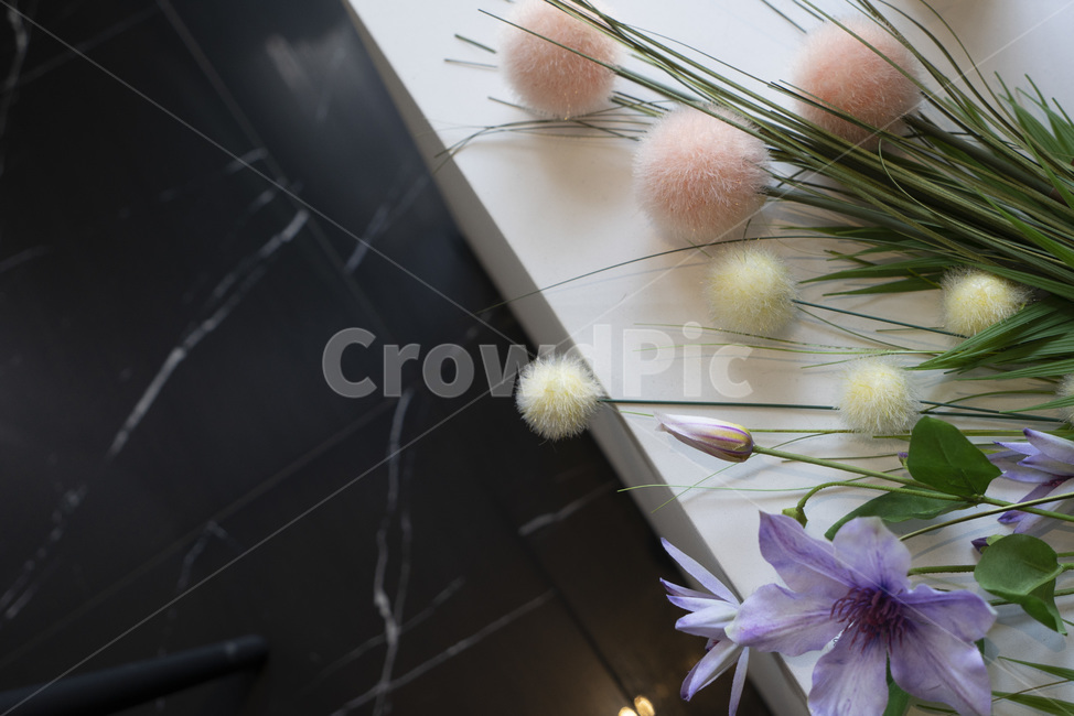 plant,식물,테이블,table,꽃,flower,인테리어소품,interior