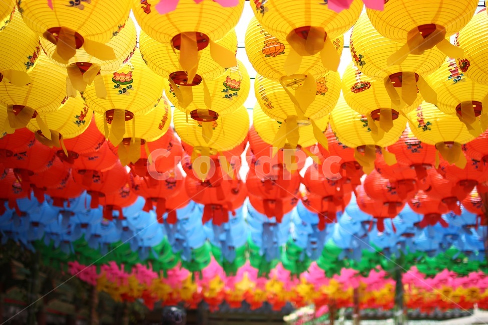 연등,부처님오신날,석가탄신일,절,사찰,염원,종교,신앙,religion,belief,faith