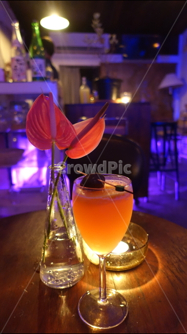 술,칵테일,음료,알콜,beverage,cocktail,alcohol,drink,음주,맥주,beer